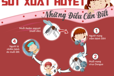 Bài tuyên truyền về bệnh sốt xuất huyết