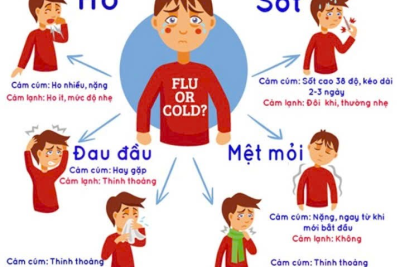 Phòng chống bệnh cúm mùa, bệnh do virus hợp bào hô hấp (RSV) và bệnh tay chân miệng